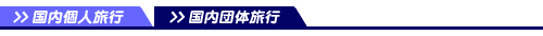 国内団体旅行