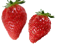 イチゴ